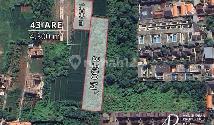 LEASEHOLD LARGE PLOT OF LAND IN SEMINYAK (43 ARE)