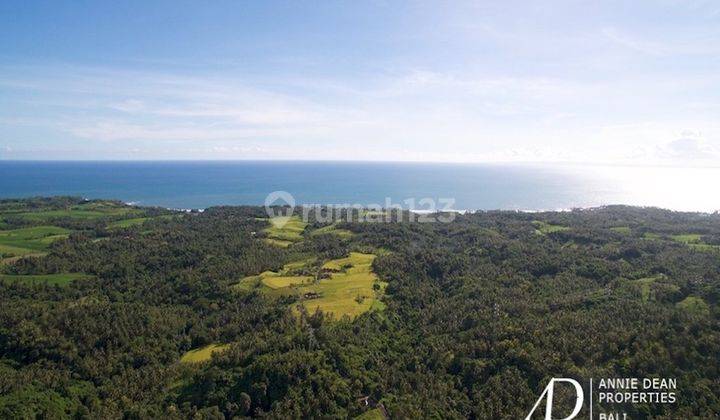 Freehold Land Investment In Antosori Selemadeg Tabanan 1