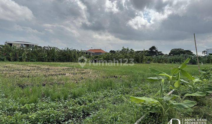 Leasehold Large Plot Of Land In Seminyak 43 Are  1