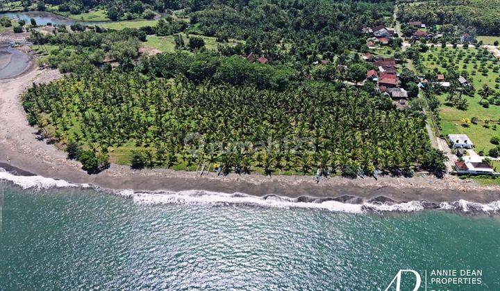 Freehold Beachfront Land In Pantai Melaya Jembrana 1