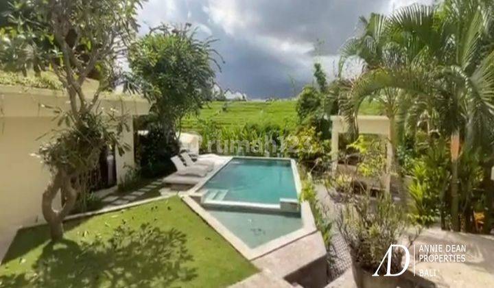 Freehold Tropical Design Villa With A Rice Filed Views 2