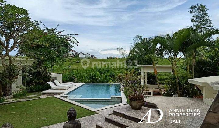 Freehold Tropical Design Villa With A Rice Filed Views 1