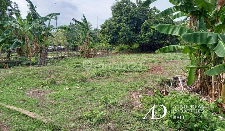 Freehold Land In Gili Air Lombok Barat 2