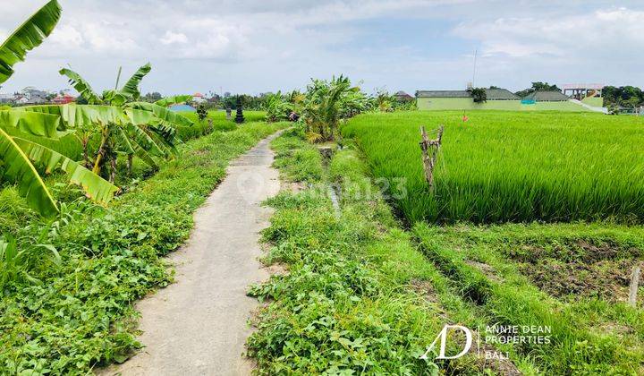 Freehold 26 Are Land In Buwit, Tabanan. 4