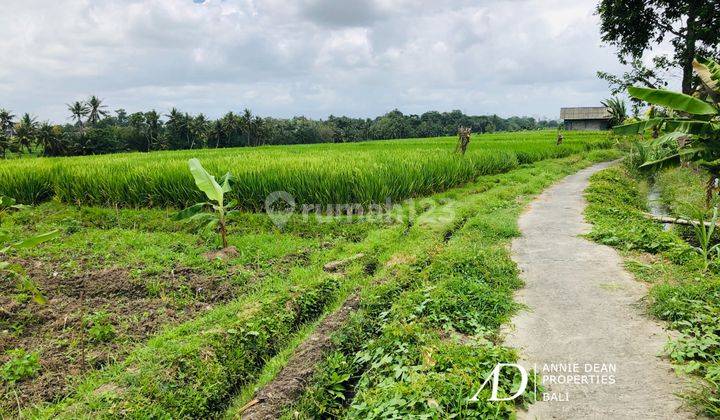 Freehold 26 Are Land In Buwit, Tabanan. 7