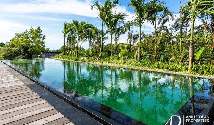 Modern Design Four Floor Twin Duplex With 180 Degree Ocean Views 7