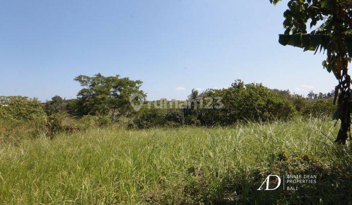  Freehold Land In Tegenungan Sukawati Of Ubud 28,75 Are  2