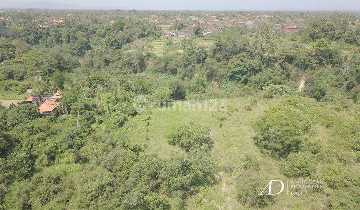  Freehold Land In Tegenungan Sukawati Of Ubud 28,75 Are  1