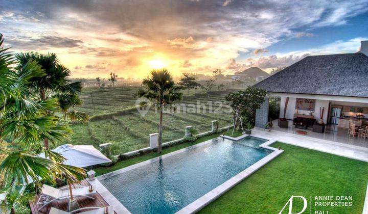  Freehold Modern Contemporary Villa In Batu Bolong 1