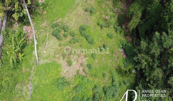 Freehold Land In Cepaka Offers Beautiful Forest Views 2