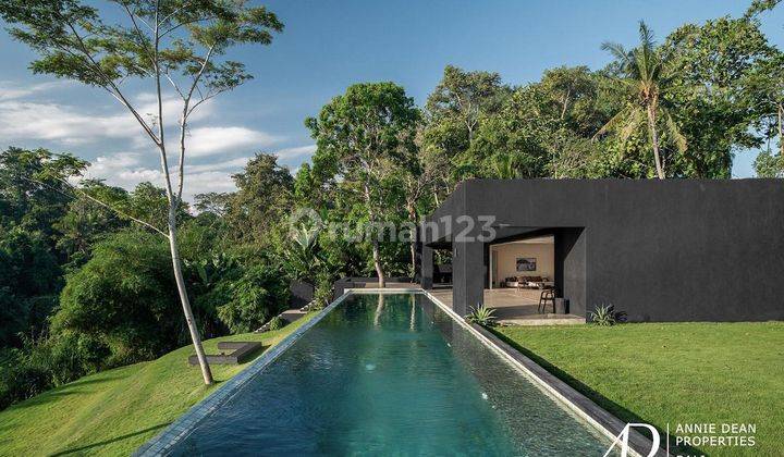 Freehold Minimalistic Design With A Views Greenery And The River 1