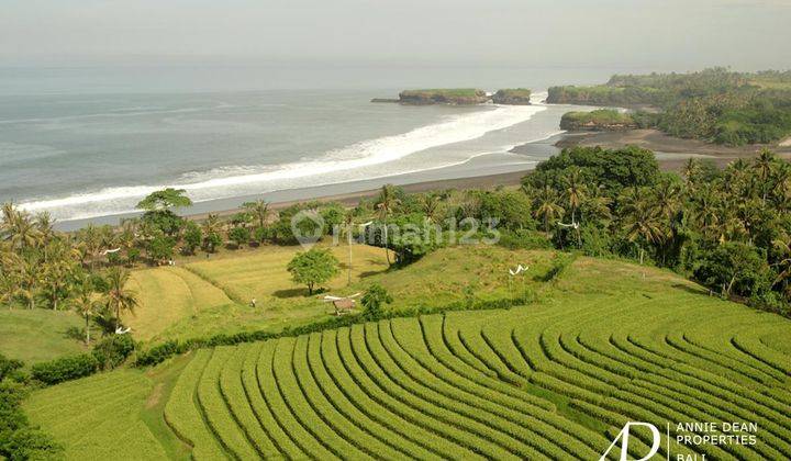 Freehold Beachfront Land 60 Are In Kelecung Tabanan 1