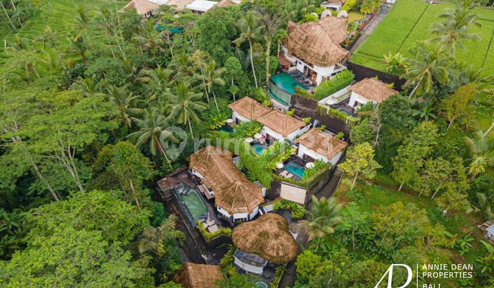 Leasehold Luxury Boutique Villas and Spa (13 Bedrooms)