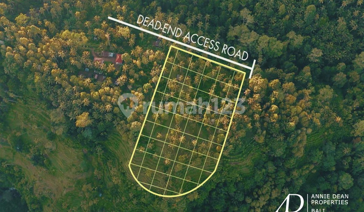 LEASEHOLD | UNIQUE CANYON-EDGE LAND IN SIDEMEN, BALI LEASEHOLD | UNIQUE CANYON-EDGE LAND IN SIDEMEN, BALI