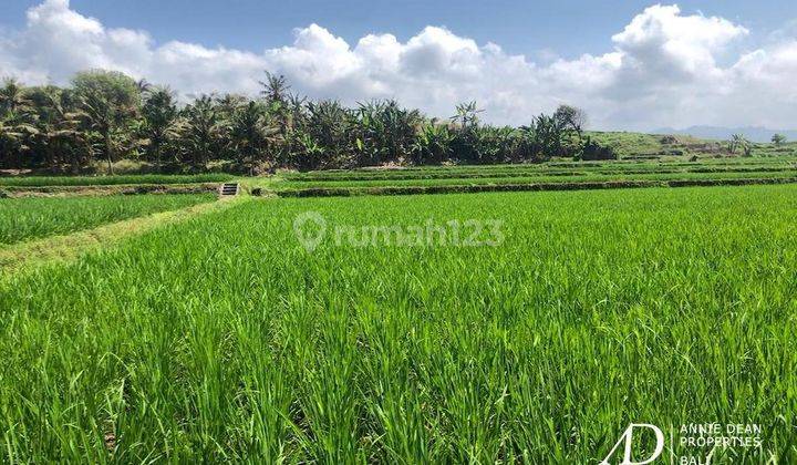 Freehold Beachfront Land In Negara jembrana 2