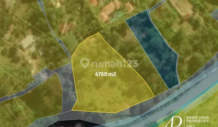 Freehold Land With Breathtaking River And Jungle Views 2