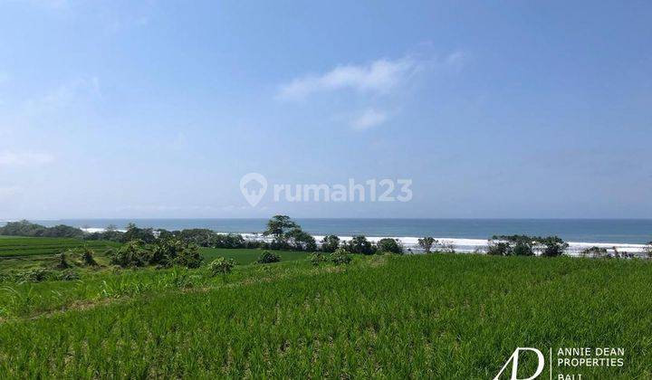 Freehold Beachfront Land In Negara jembrana 1