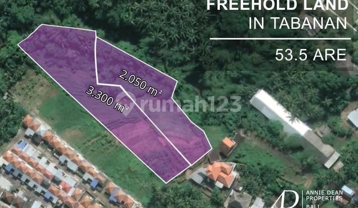 FREEHOLD LAND IN BONGAN, TABANAN ( 5,300 M2) WITH PRIVATE ROAD ACCESS FREEHOLD LAND IN BONGAN, TABANAN ( 5,300 M2) WITH PRIVATE ROAD ACCESS