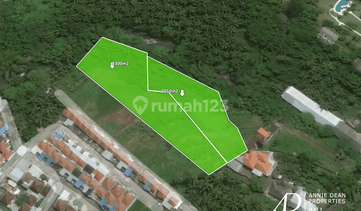 Freehold Land Good Deal In Bongan Tabanan 5300 M2 1