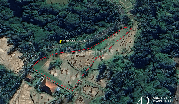 Freehold Land Near Tegalalang Ubud 2300 M2 1