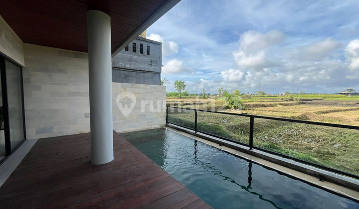 Freehold | Brand New 2-Bedroom Villa In Cepaka, Tabanan