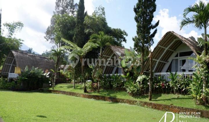 FREEHOLD ECO-BOUTIQUE HOTEL WITH PANORAMIC VIEWS IN BEDUGUL