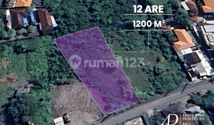 FREEHOLD LAND | SARASWATI SEMINYAK | 1,200 SQM