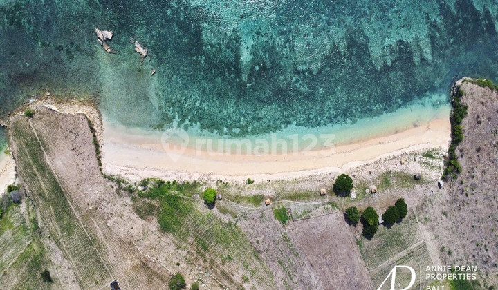 FREEHOLD | BEACHFRONT LAND IN EKAS - LOMBOK
