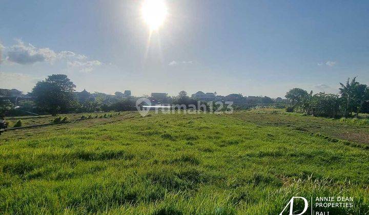 Freehold Land 700 M2 Near Bali Buda Kerobokan 1