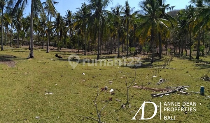 TANAH HAK MILIK DI PULAU GILI 250 M DARI PANTAI TANAH HAK MILIK DI PULAU GILI 250 M DARI PANTAI