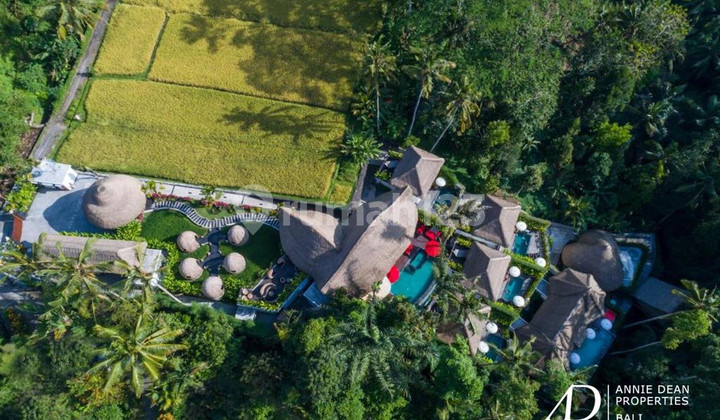 Leasehold Luxury Boutique Villas and Spa (13 Bedrooms)