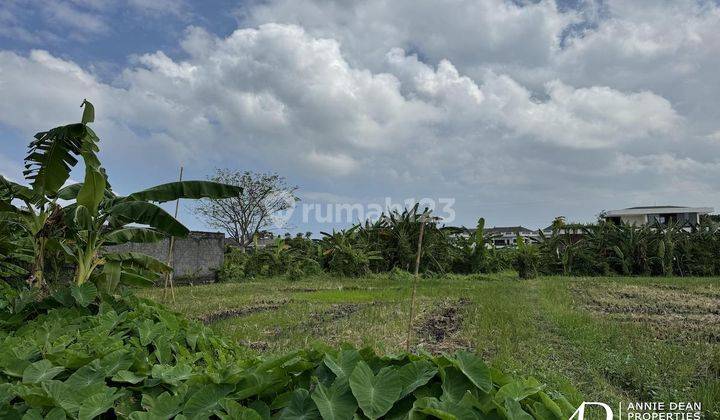 Leasehold Large Plot Of Land In Seminyak 43 Are  2