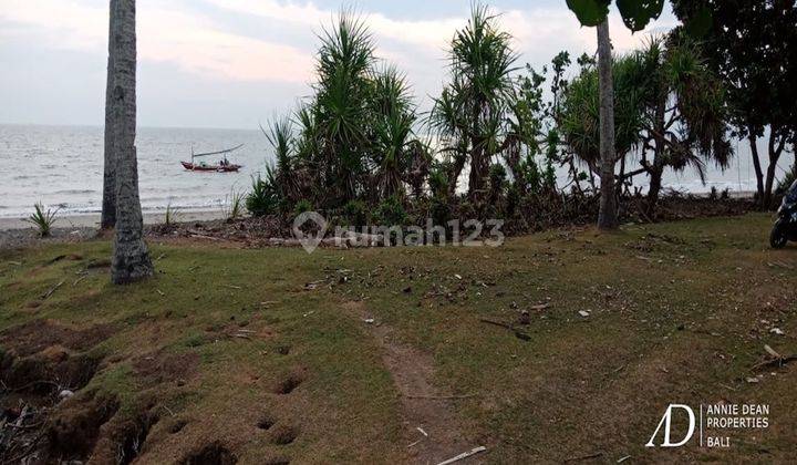 Freehold Beachfront Land In Melaya Jembrana Negara 1