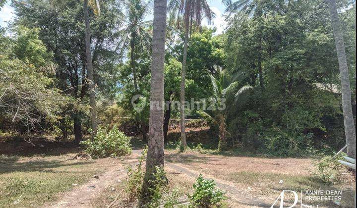 Freehold Beachfront Land In Buleleng 2