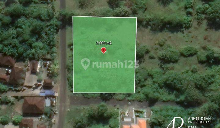 Leasehold Land In Balangan 20 Are 1