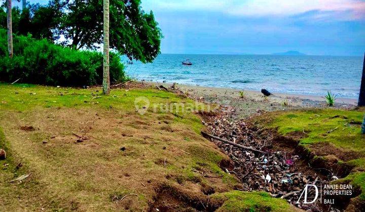 Freehold Beachfront Land In Melaya Jembrana Country 1