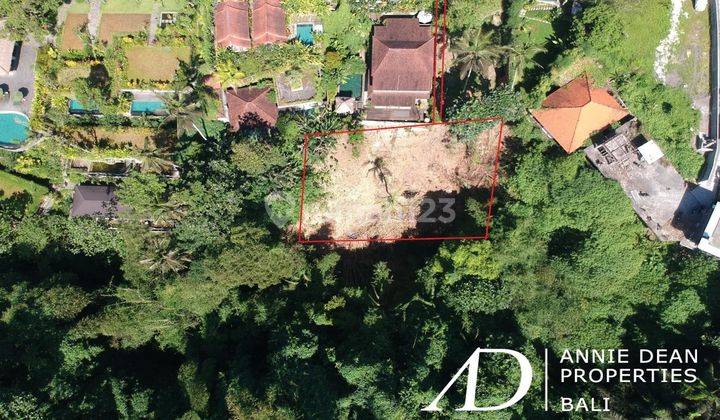 FREEHOLD LAND WITH JUNGLE AND RIVER VIEWS NEAR SUWETA UBUD 1