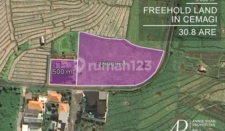FREEHOLD LAND IN CEMAGI WITH RICE FIELD VIEW - WALKING DISTANCE TO BEACH FREEHOLD LAND IN CEMAGI WITH RICE FIELD VIEW - WALKING DISTANCE TO BEACH