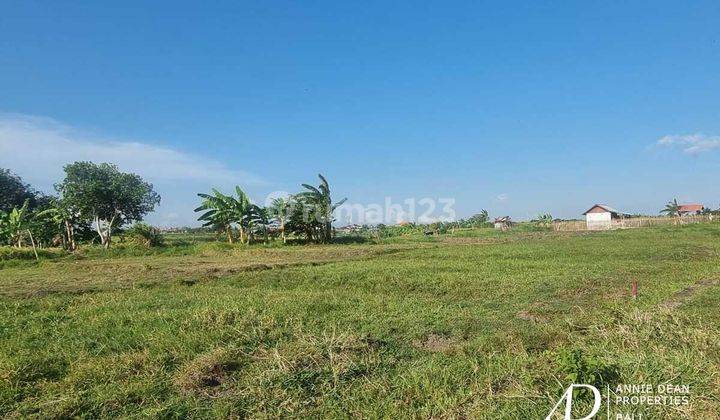 Freehold Land 700 M2 Near Bali Buda Kerobokan 2