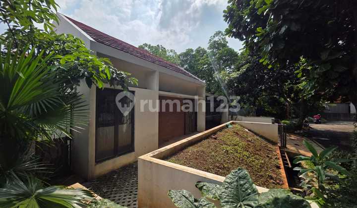 Rumah Bagus Siap Huni dan Asri di Puri Bintaro, Bintaro Jaya, Sektor 9 Rumah Bagus Siap Huni dan Asri di Puri Bintaro, Bintaro Jaya, Sektor 9