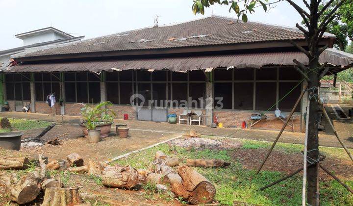 Rumah Bagus Siap Huni dan Asri di Jl Cempaka, Pesanggrahan, Jakarta Selatan 1