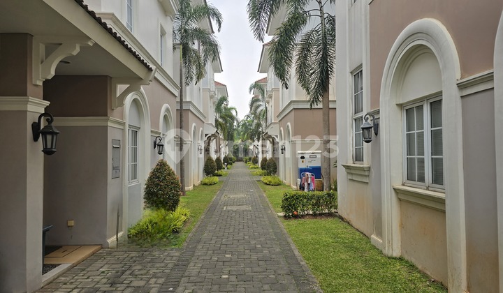 Nice Move-In Ready House with Swimming Pool in Alesha House Orange, Vanya Park, BSD South Tangerang