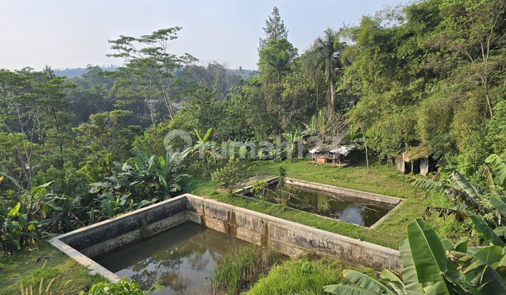Pondok Sekar Hotel di Pinggir Jalan Utama, Lokasi Strategis, Jl Raya Cipayung Bogor Jawa Barat