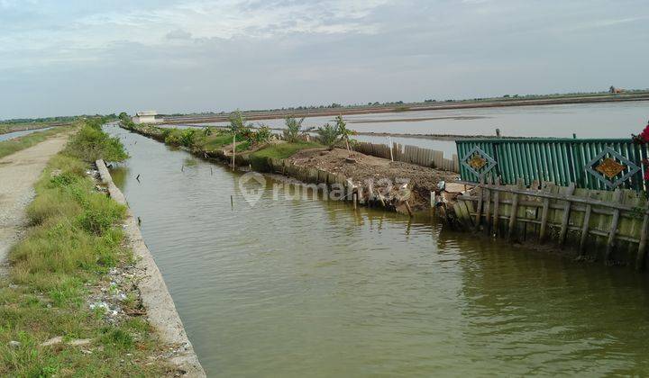 Dijual Tambak Dan Rumah di Tanjungpakis Pakisjaya Karawang 1