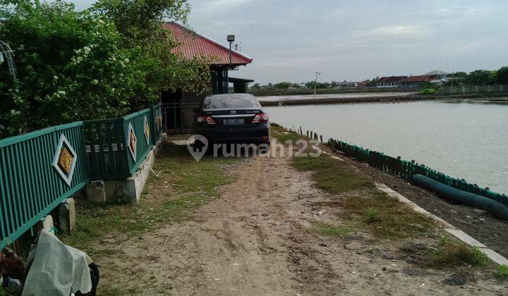 Dijual Tambak Dan Rumah di Tanjungpakis Pakisjaya Karawang 2