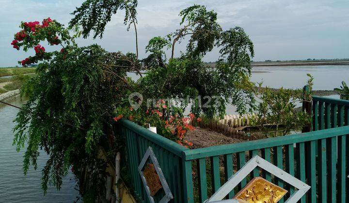 Dijual Tambak Dan Villa di Bungin Tanjungpakis Karawang 4