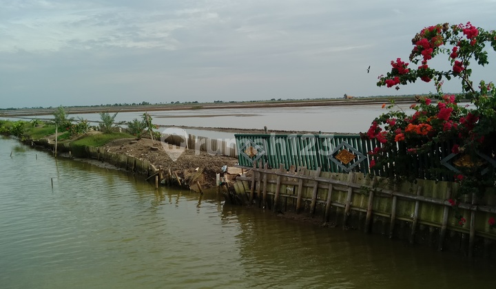 Dijual Tambak Dan Villa di Bungin Tanjungpakis Karawang 6
