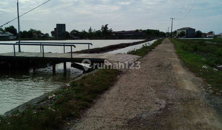 Dijual Tambak Dan Villa di Bungin Tanjungpakis Karawang 9