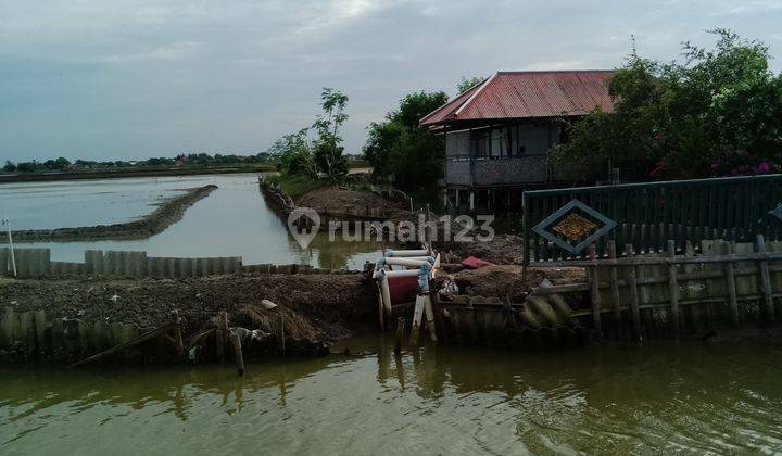 Dijual Tambak Dan Villa di Bungin Tanjungpakis Karawang 1