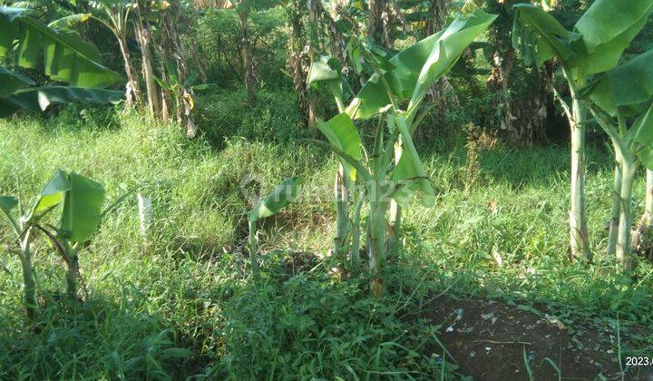 Dijual Tanah 1015 M2 SHM Rp. 1,2 Juta m2 Duren Jaya Bekasi Timur 3